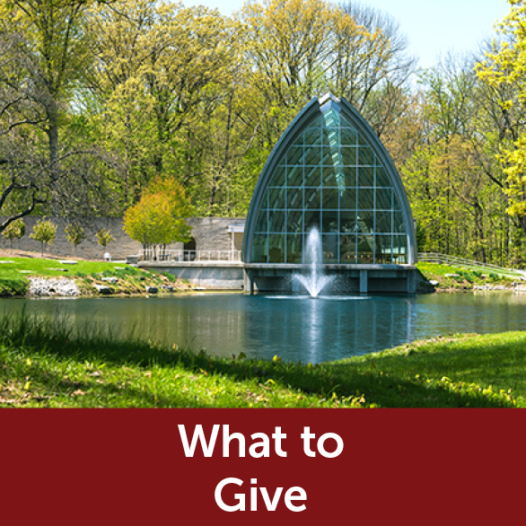 Rollover image of White Chapel. Link to What to Give.