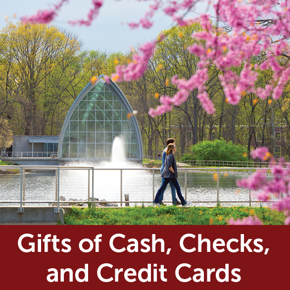 Rollover image of White Chapel in spring. Link to Gifts of Cash, Check, and Credit Cards.